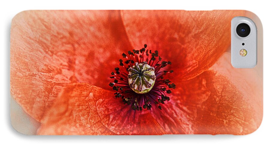 Summer iPhone 7 Case featuring the photograph Summer Poppy by Douglas MooreZart