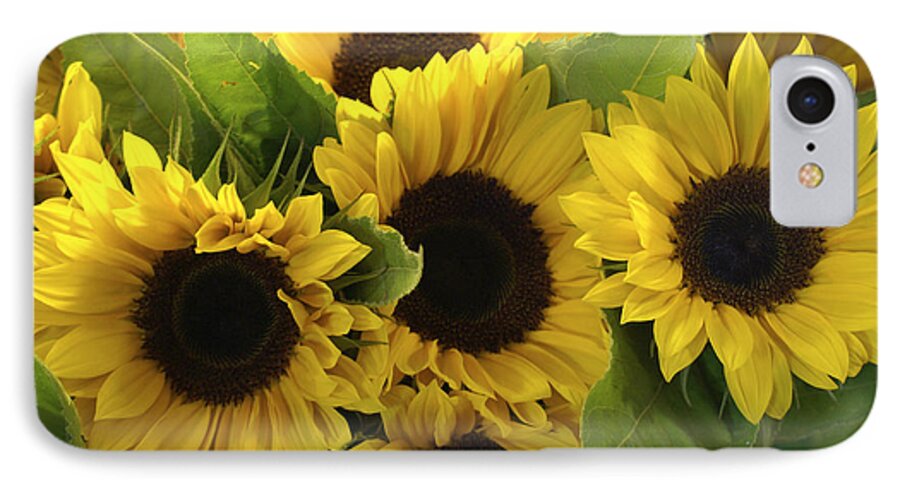 Flowers iPhone 7 Case featuring the photograph Sunflowers by Henri Irizarri