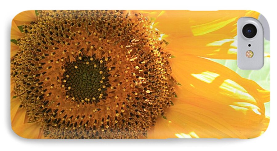 Sunflower iPhone 7 Case featuring the photograph Sunflowers by Marna Edwards Flavell