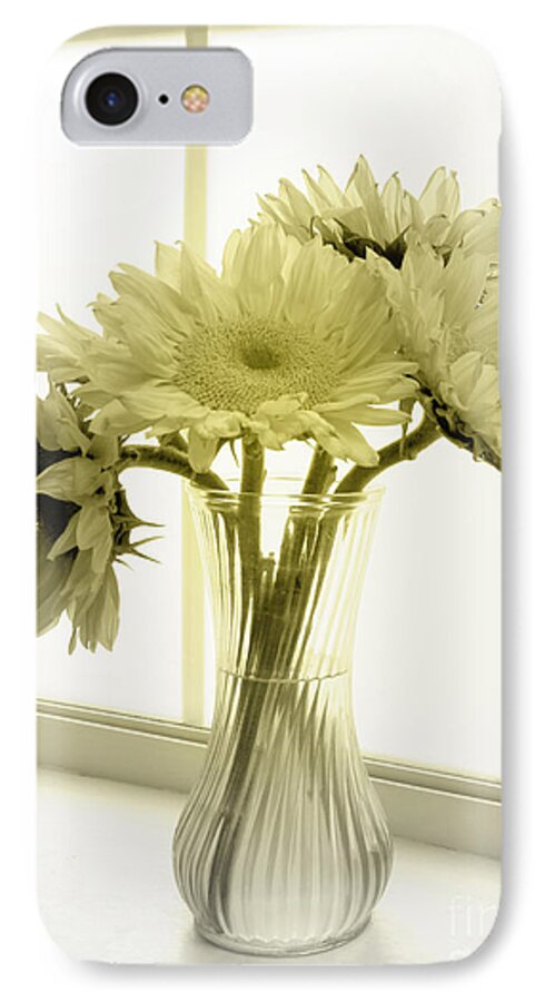 Sunflowers iPhone 7 Case featuring the photograph Sunflowers by Todd Blanchard