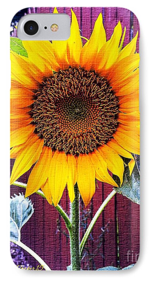 Photograph iPhone 7 Case featuring the mixed media Sunny Day by MaryLee Parker