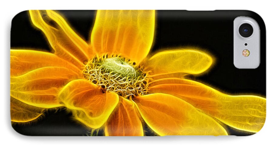 Fractals iPhone 7 Case featuring the photograph Sunrise Daisy by Cameron Wood