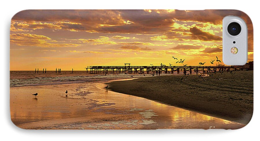 Scenic iPhone 7 Case featuring the photograph Sunset And Gulls by Kathy Baccari