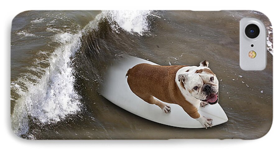 Bulldog iPhone 7 Case featuring the photograph Surfer Dog by John A Rodriguez