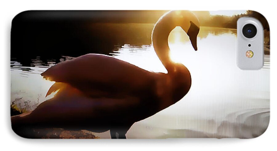 Bird. Swan iPhone 7 Case featuring the photograph Swan in Evening Sun by Linda Phelps