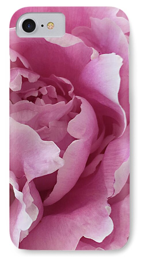 Flower iPhone 7 Case featuring the photograph Sweet As Cotton Candy by Sherry Hallemeier