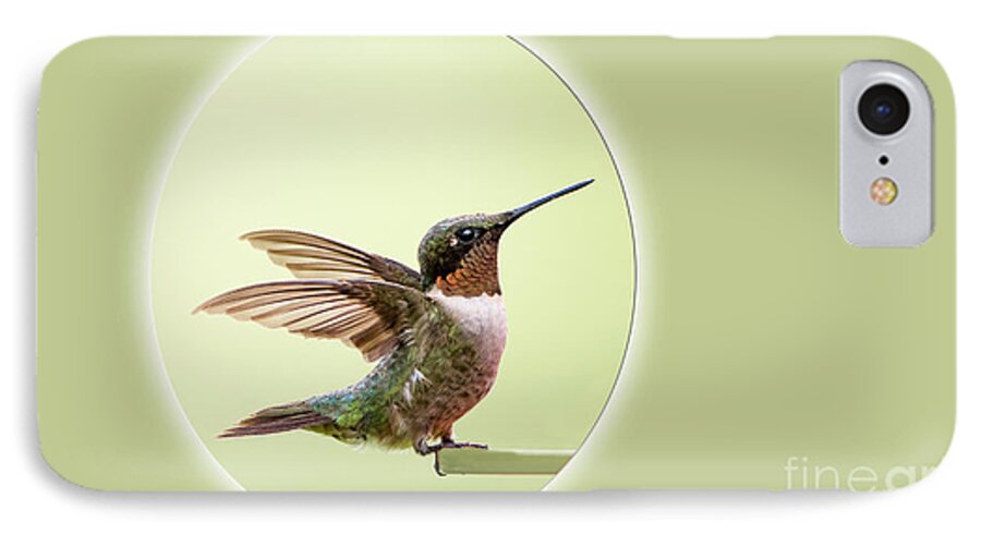 Sweet iPhone 7 Case featuring the photograph Sweet Little Hummingbird by Bonnie Barry