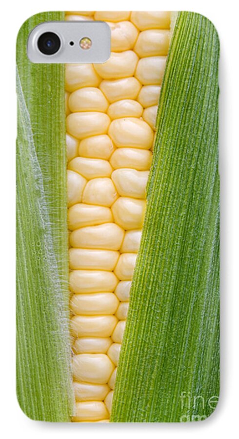 Sweetcorn Cob iPhone 7 Case featuring the photograph Sweetcorn by Tim Gainey