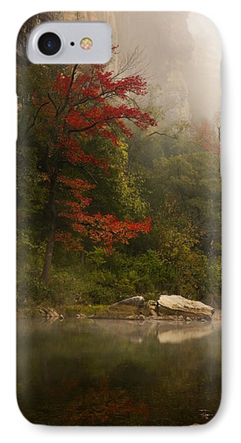 Sweetgum In The Mist iPhone 7 Case featuring the photograph Sweetgum in the Mist at Steel Creek by Michael Dougherty