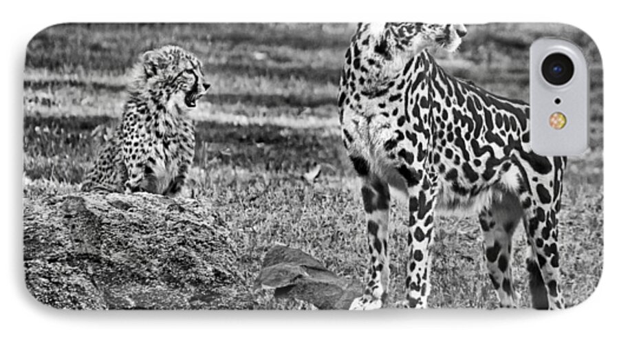 #cheetah iPhone 7 Case featuring the photograph Thats A Yawn by Miroslava Jurcik