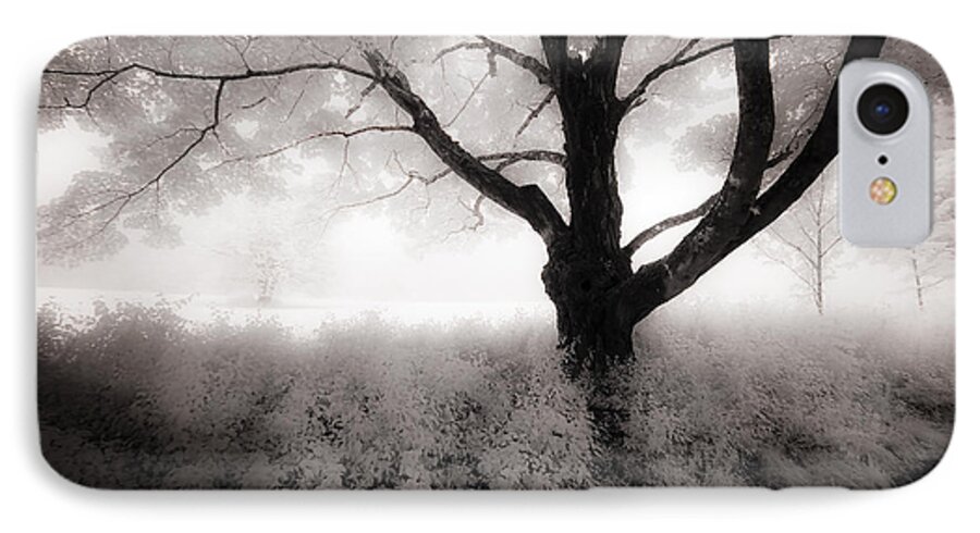 Our Town iPhone 7 Case featuring the photograph The Ancient Tree by Craig J Satterlee