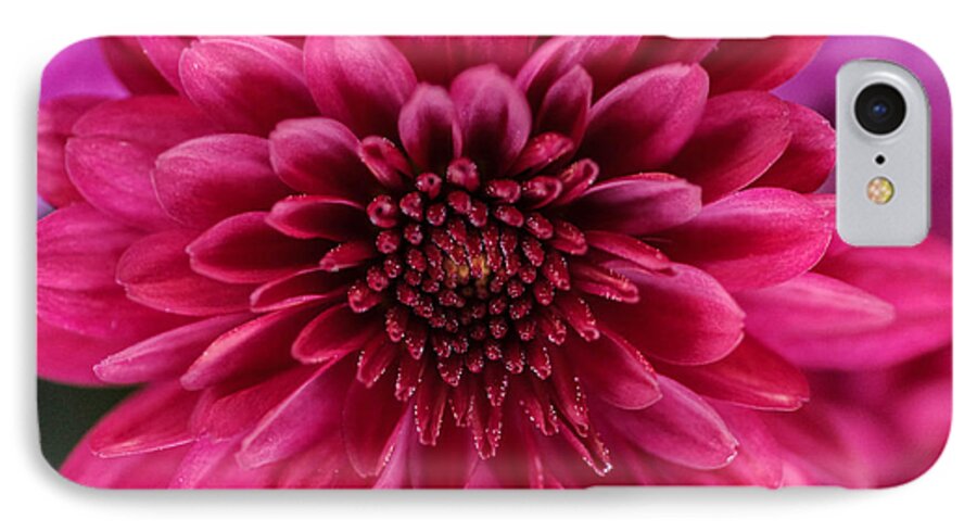 Flower iPhone 7 Case featuring the photograph The eye of pink flower by Gerald Kloss