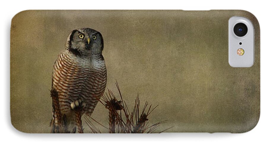 Northern Hawk Owl iPhone 7 Case featuring the photograph The great orator by Heather King