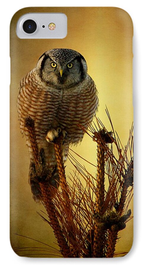 Hawk Owl iPhone 7 Case featuring the photograph The great stare down by Heather King