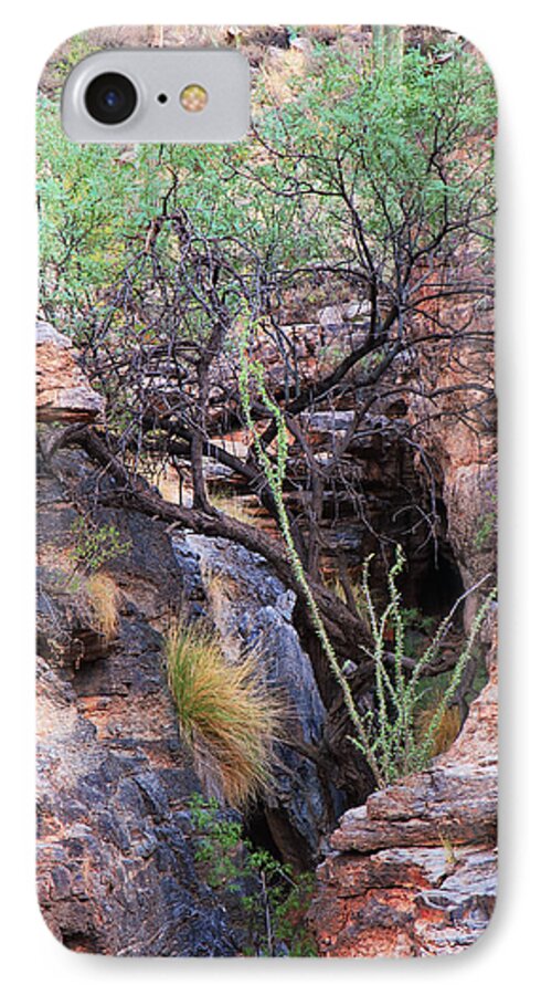 Fine Art iPhone 7 Case featuring the photograph The Hole - Mount Lemmon by Donna Greene