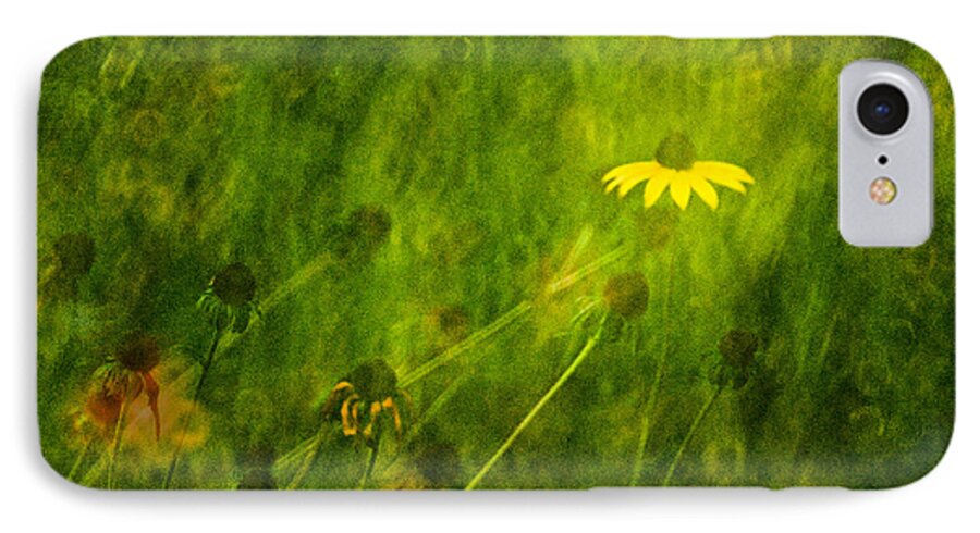 Rudbeckia iPhone 7 Case featuring the photograph The Last Black-eyed Susan by Onyonet Photo studios