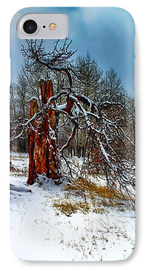 Tree iPhone 7 Case featuring the photograph The Last Stand by Shane Bechler
