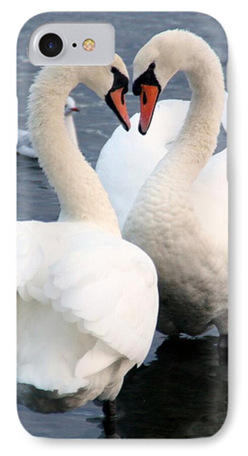 Swans iPhone 7 Case featuring the photograph The Look of Love by Martina Fagan