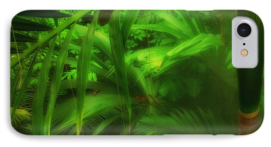 Connie Handscomb iPhone 7 Case featuring the photograph The Palm Forest by Connie Handscomb