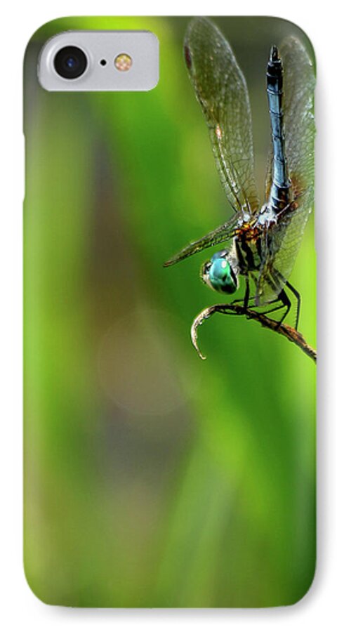 Reid Callaway Dragonfly Art iPhone 7 Case featuring the photograph The Performer Dragonfly Art by Reid Callaway