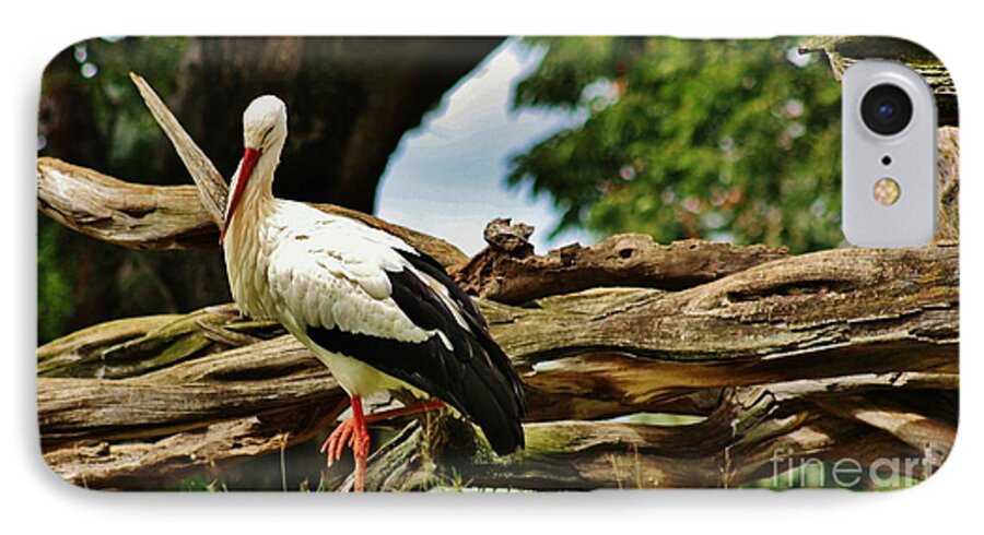 White Stork iPhone 7 Case featuring the photograph The Stork by Craig Wood