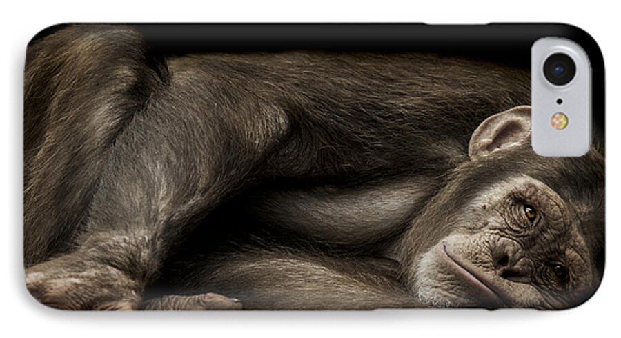 Chimpanzee iPhone 7 Case featuring the photograph The Teenager by Paul Neville
