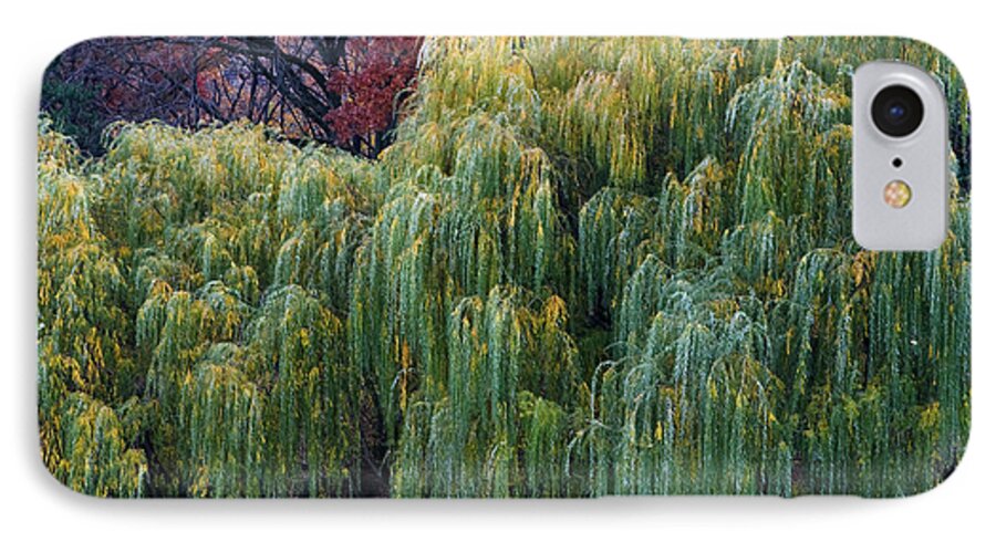 New York City iPhone 7 Case featuring the photograph The Willows of Central Park by Lorraine Devon Wilke