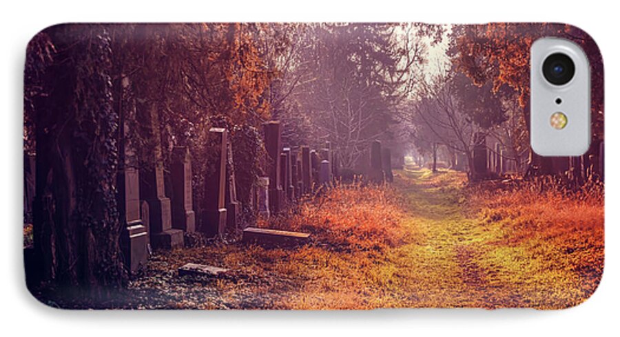 Cemetery iPhone 7 Case featuring the photograph The Winter Path by Carol Japp
