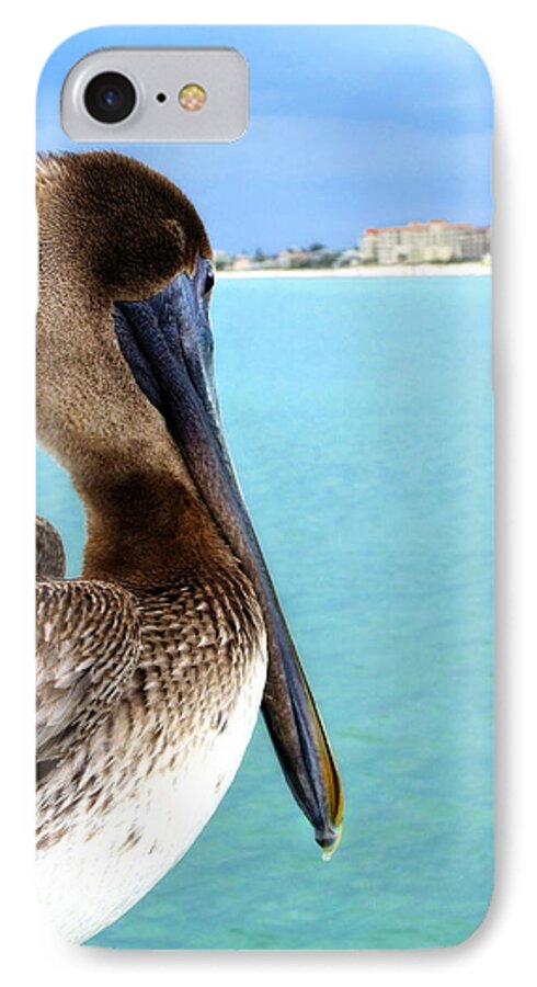 Clearwater iPhone 7 Case featuring the photograph This Is My Town - Pelican at Clearwater Beach Florida by Angela Rath