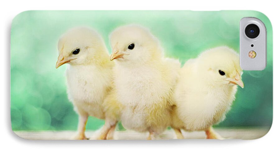 Baby Chicks iPhone 7 Case featuring the photograph Three Amigos by Amy Tyler