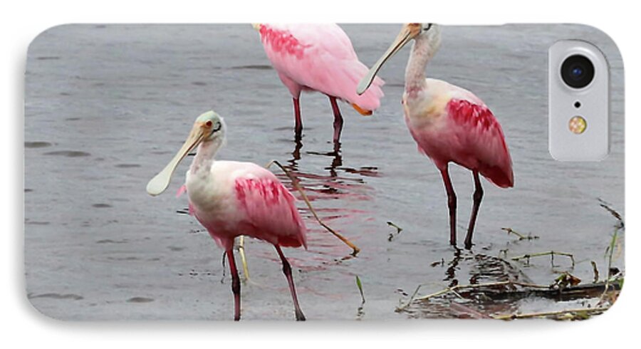 Bird iPhone 7 Case featuring the photograph Three Roseate Spoonbills Square by Carol Groenen