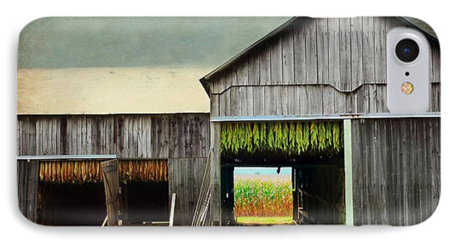 Farm iPhone 7 Case featuring the photograph Tobacco Drying by Beth Ferris Sale
