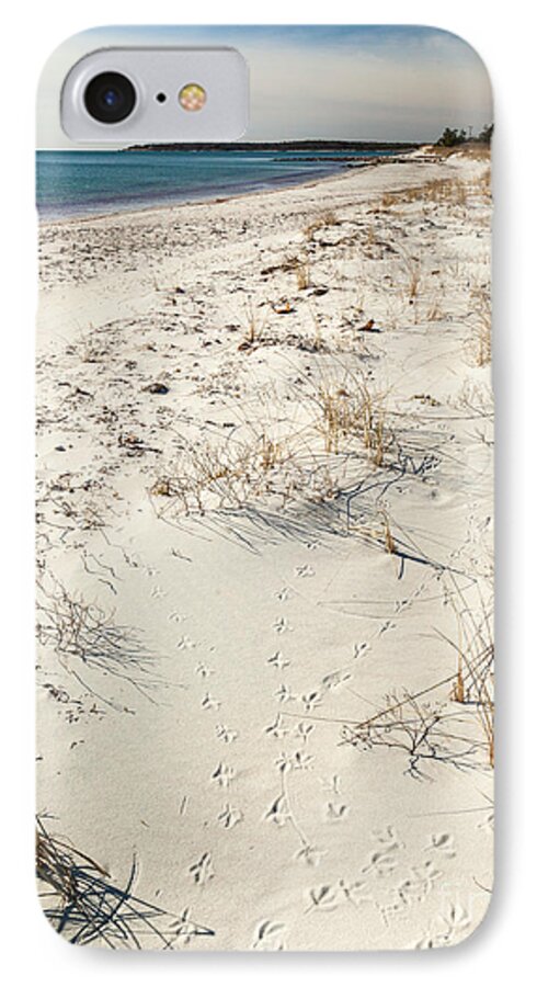 Tracks On The Beach iPhone 7 Case featuring the photograph Tracks on the Beach by Michelle Constantine