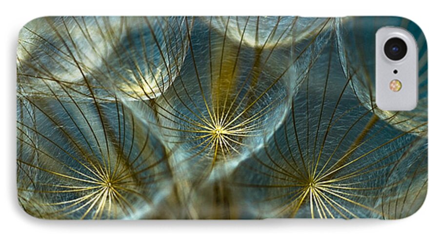 Dandelion iPhone 7 Case featuring the photograph Translucid Dandelions by Iris Greenwell