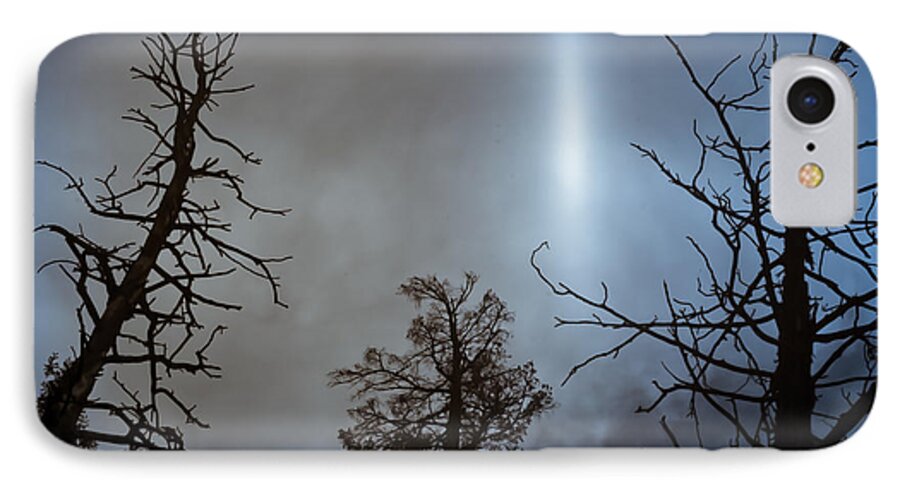 Trees iPhone 7 Case featuring the photograph Tree Flash by Scott Sawyer