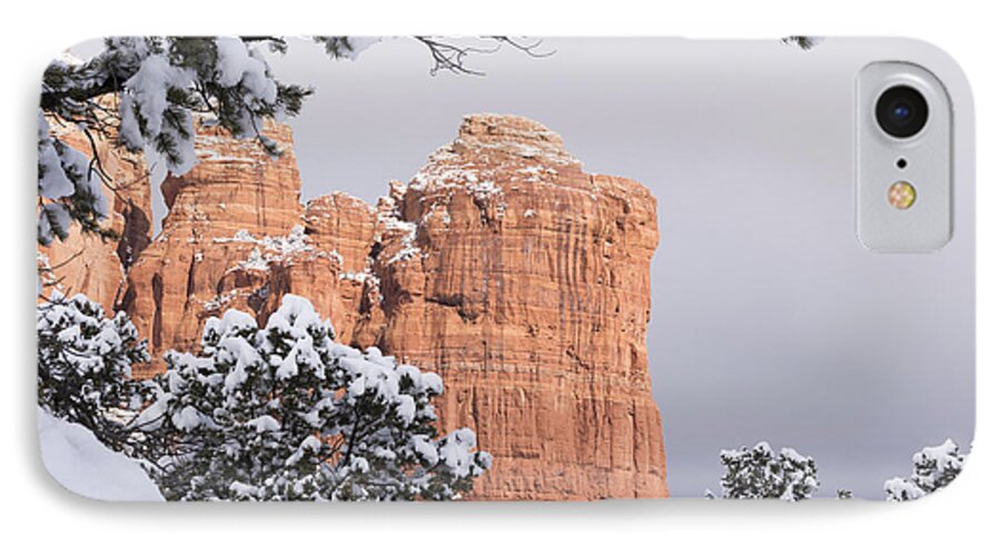 Sedona iPhone 7 Case featuring the photograph Tree Hanging over Coffee Pot by Laura Pratt