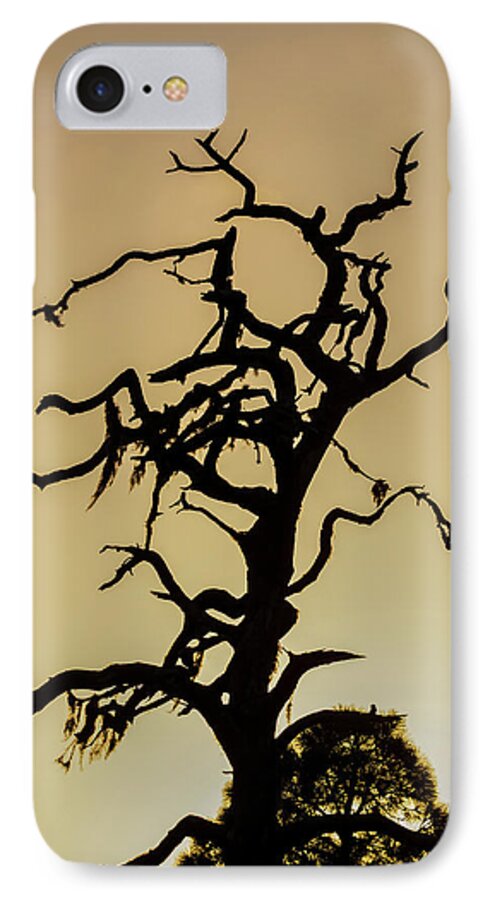 Silhouette iPhone 7 Case featuring the photograph Tree Silhouette by Robert Mitchell