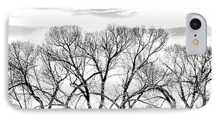 Tree iPhone 7 Case featuring the photograph Trees Silhouette Black and White by Jennie Marie Schell