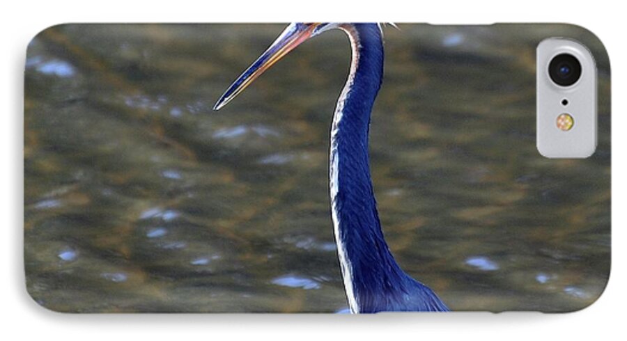 Tricolored Heron iPhone 7 Case featuring the photograph Tricolored Heron Pose by Al Powell Photography USA