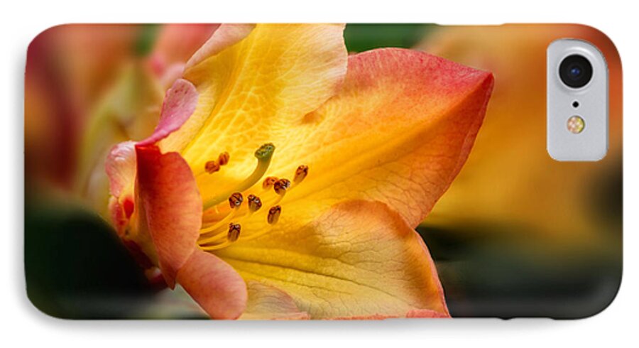 Rhododendron iPhone 7 Case featuring the photograph Trumpet of Spring by Mary Jo Allen