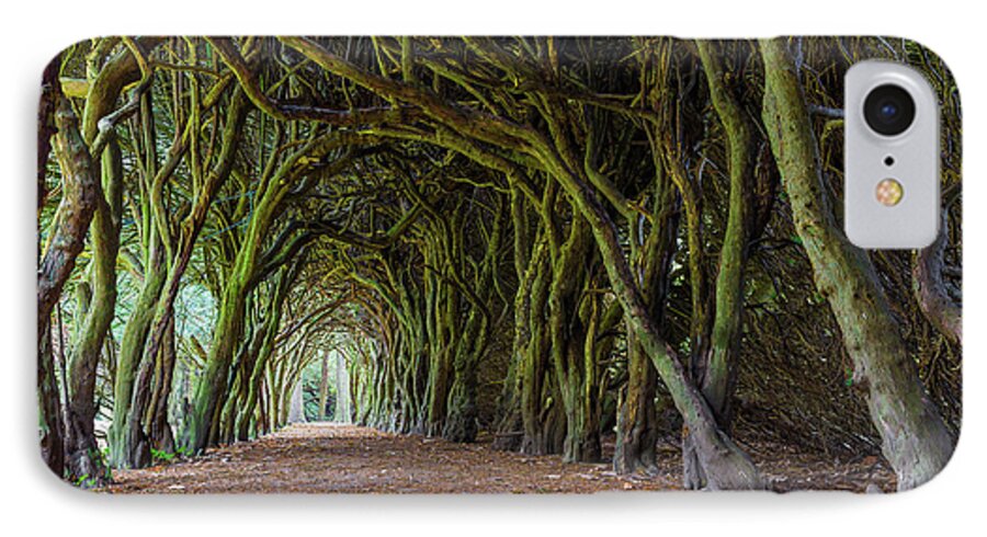 Campus iPhone 7 Case featuring the photograph Tunnel of intertwined Yew trees by Semmick Photo
