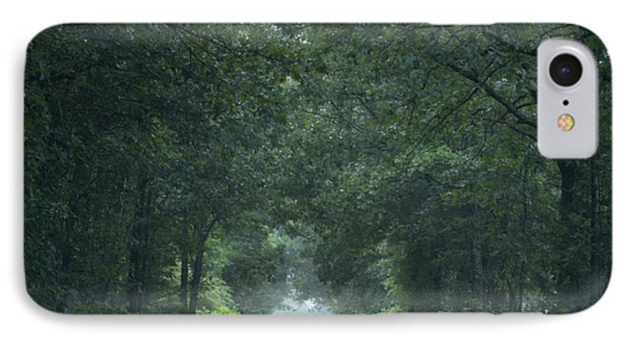 Trees iPhone 7 Case featuring the photograph Tunnel of Trees by Reva Dow