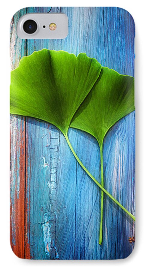 Ginkgo iPhone 7 Case featuring the photograph Two leaves of ginkgo biloba by Philippe Sainte-Laudy