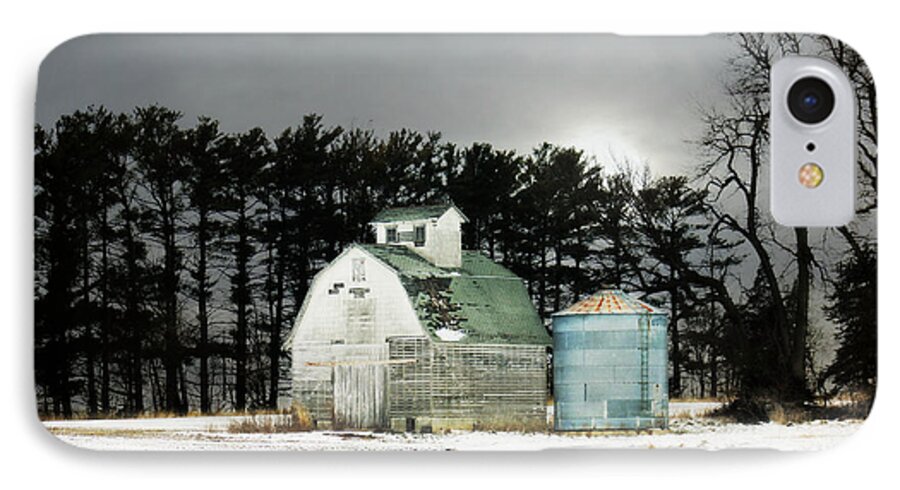 Barn iPhone 7 Case featuring the photograph Twos Company by Julie Hamilton