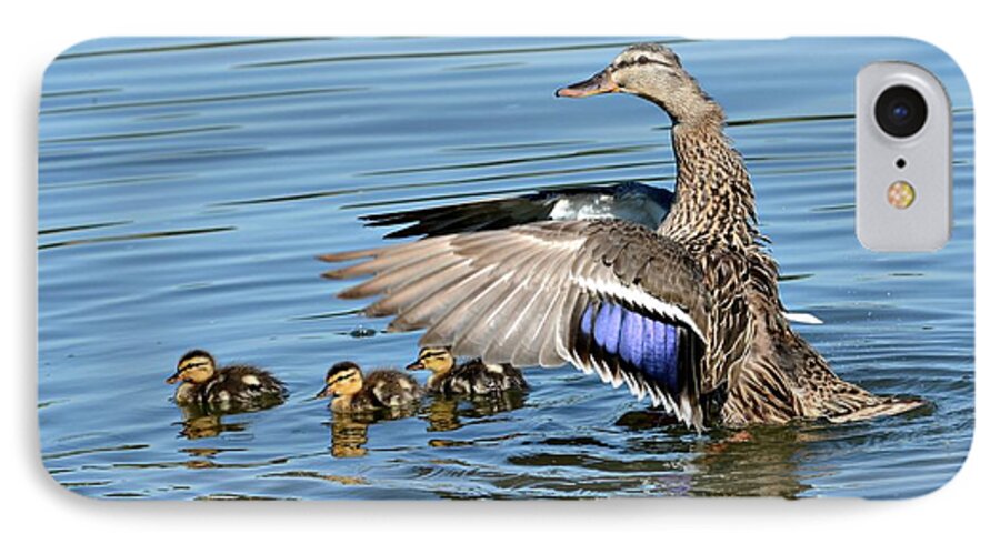 Mallards iPhone 7 Case featuring the photograph Under My Wings by Fraida Gutovich