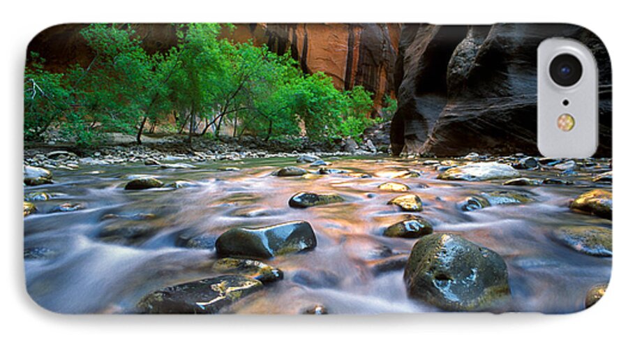 Virgin River iPhone 7 Case featuring the photograph Utah - Virgin River 5 by Terry Elniski
