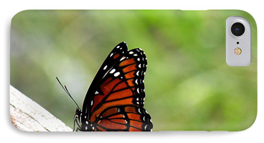 Butterfly iPhone 7 Case featuring the photograph Viceroy Butterfly Side View by Rosalie Scanlon