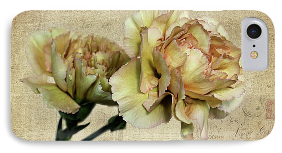 Carnation iPhone 7 Case featuring the photograph Vintage Carnations by Judy Vincent