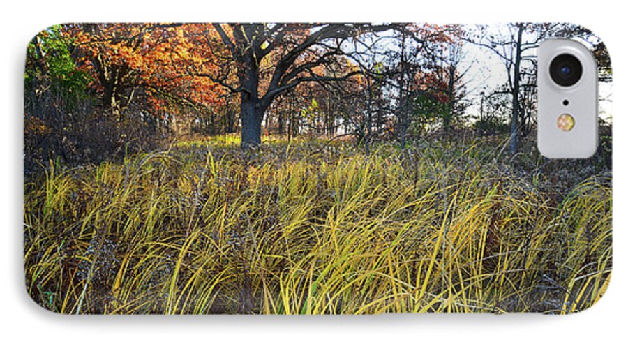 Illinois iPhone 7 Case featuring the photograph Volo Bog Fall Morning by Ray Mathis