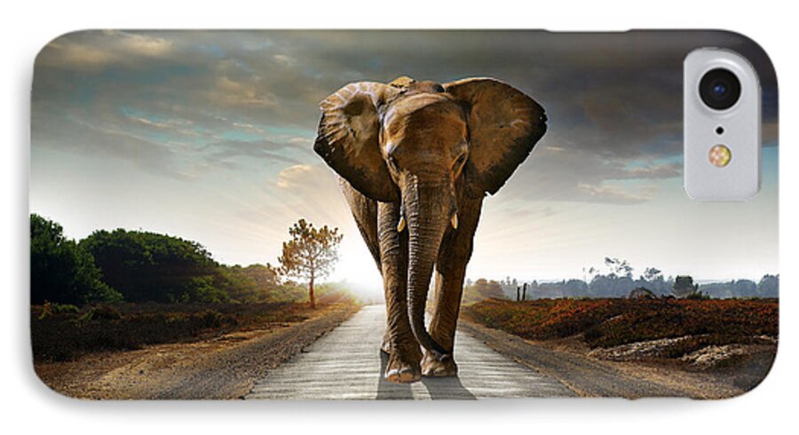 African iPhone 7 Case featuring the photograph Walking Elephant by Carlos Caetano